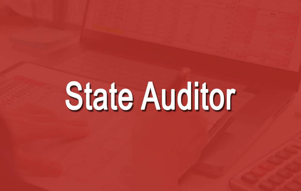 SD State Auditor